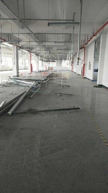 陆家郁金香路一楼厂房出租