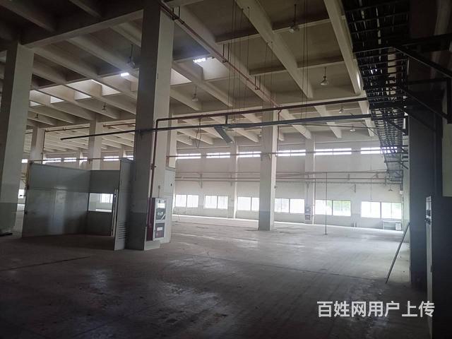 吴江太湖新城仓库出租，面积15000平米，