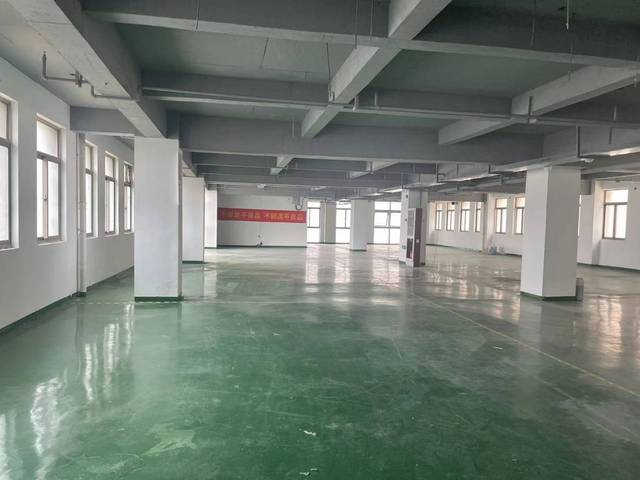 出租：新区旺庄产业园一楼1000平精装厂房