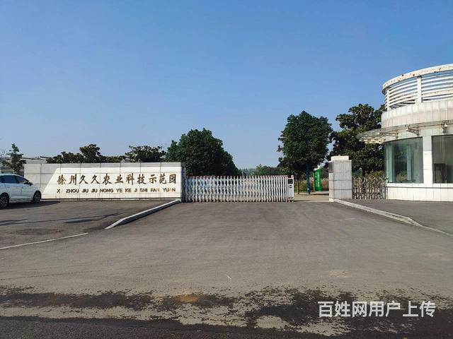 徐州久久农业科技示范招租